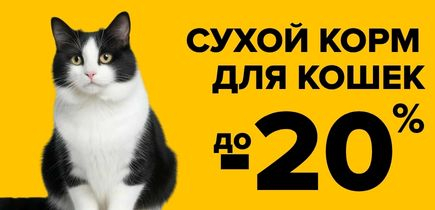 СКИДКА на сухой корм для кошек